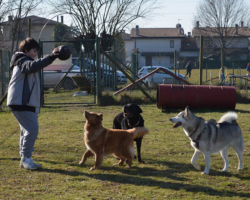 CaneNatura: un bambino che gioca a palla con tre cani