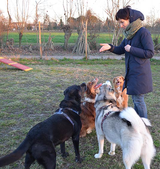 CaneNatura: educatore cinofilo alle prese con un gruppo di cani (l'amore per i cani)
