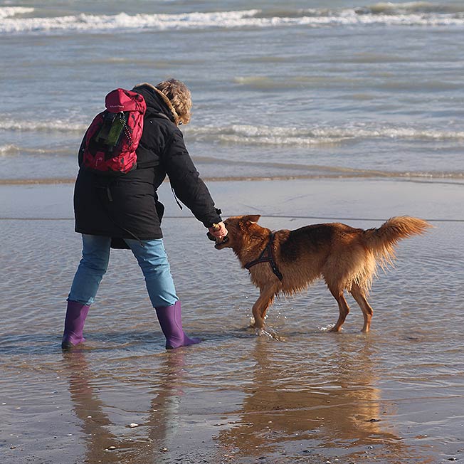 CaneNatura: donna che gioca con un cane al mare